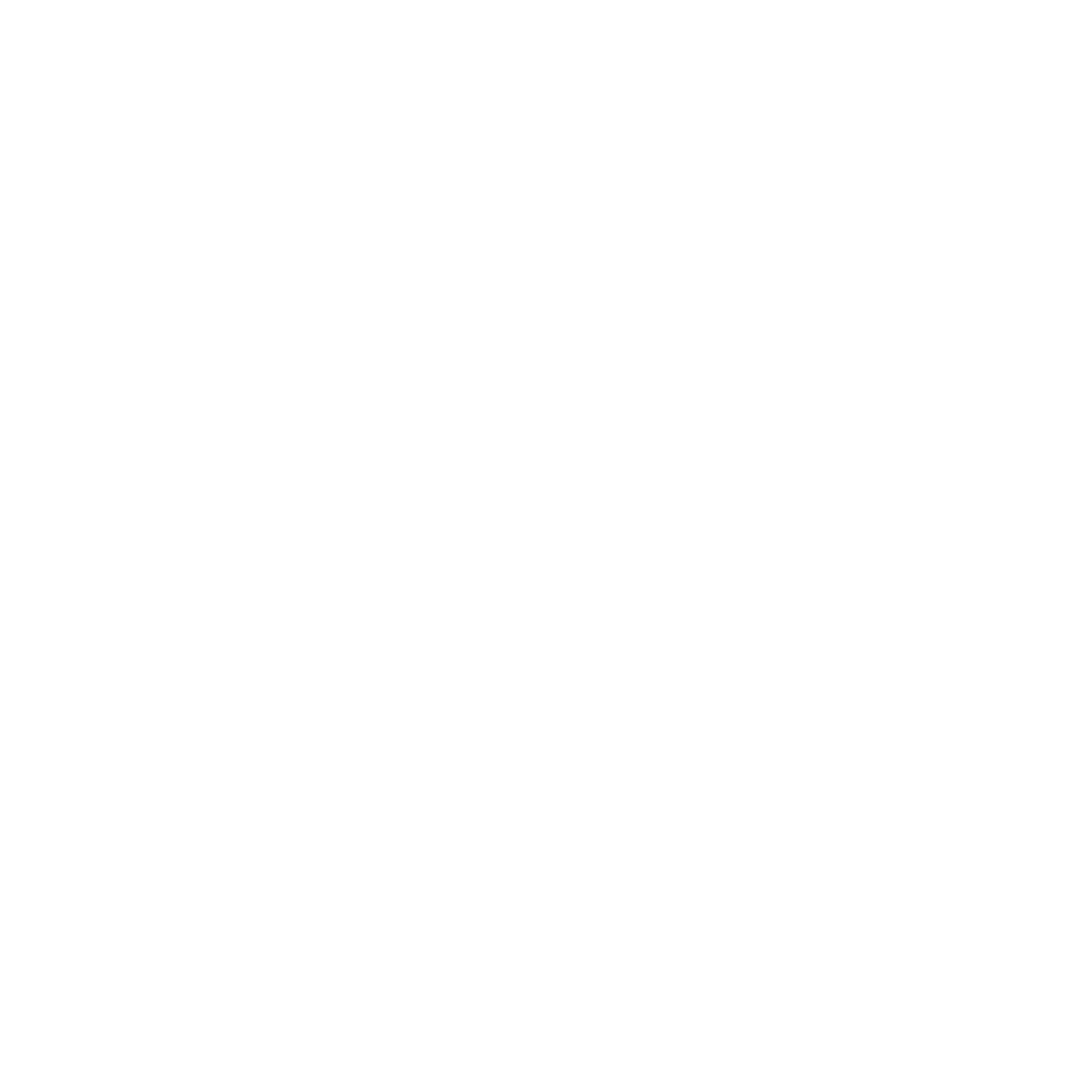 NTV Projects Logo